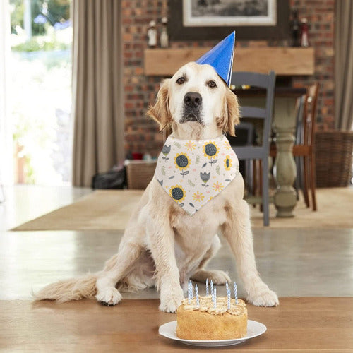Custom Pet Bandanas – Personalized Style for Your Furry Best Friend!